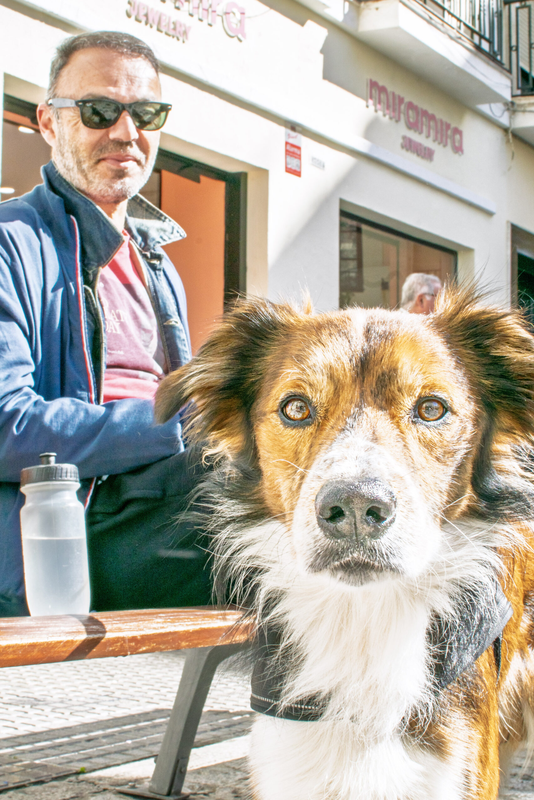 Phoskitos y Ángel · Fotografía callejera de perros en Cádiz