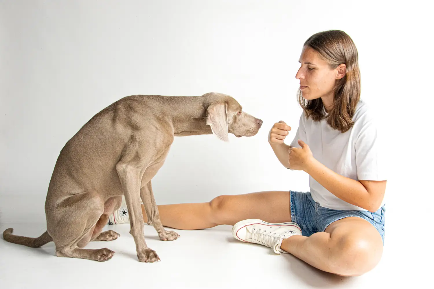 Fotografía de perros en Cádiz · Marketinez Fotografía