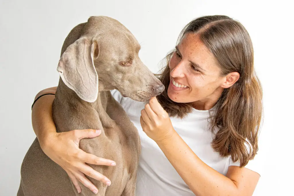 fotógrafo de perros en Cádiz - Kobe & Aída 1