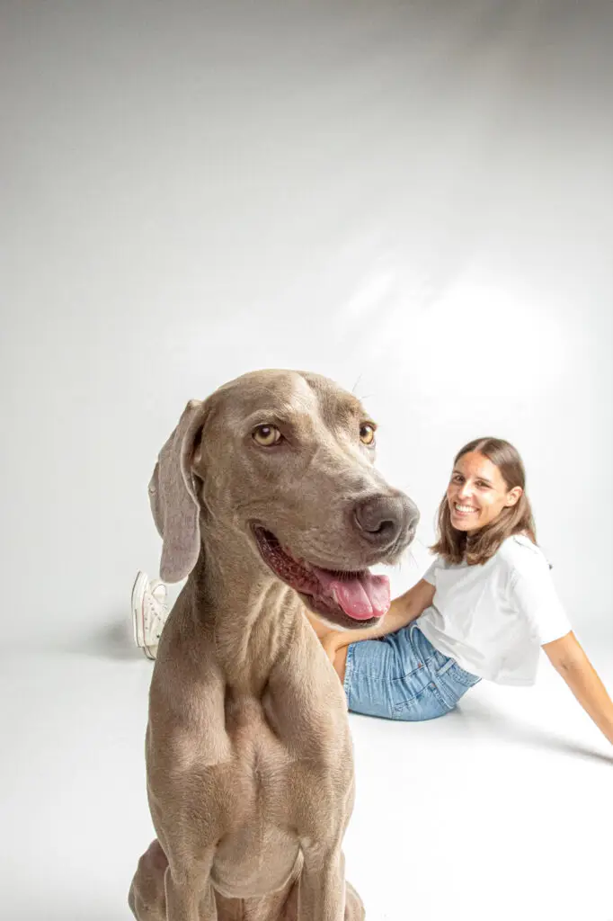 fotógrafo de perros en Cádiz - Kobe & Aída 3